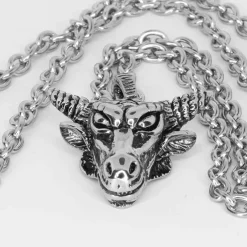 Bull i rustfri stål med kæde 70 cm