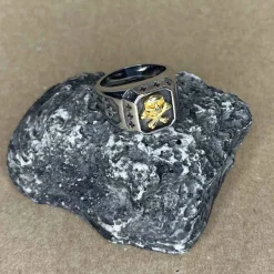 Golden skull for mænd