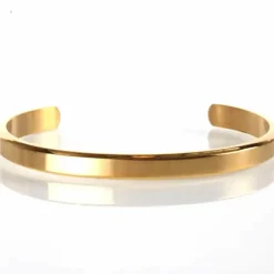 Nate bangle rustfri stål golden