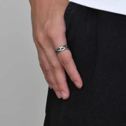 Neptun herrering i stål.