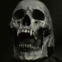 Stor grov skullring darknes