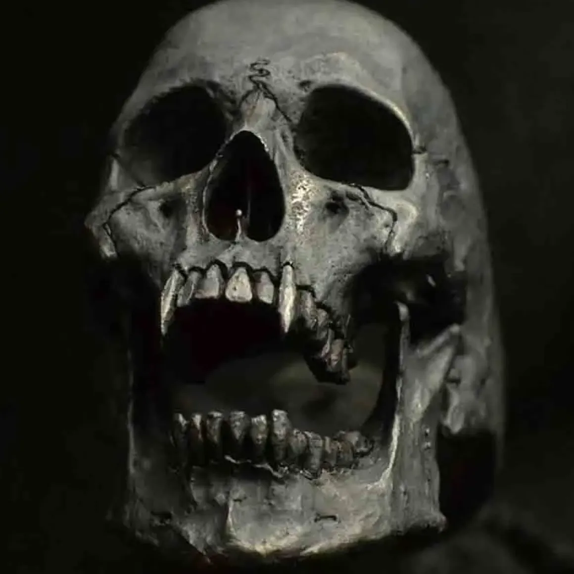 Stor grov skullring darknes